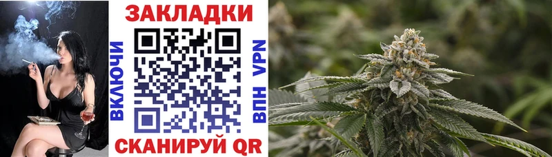 Купить закладку Киров ГАШ  Канабис  A-PVP  АМФЕТАМИН  Галлюциногенные грибы  МЕФ 